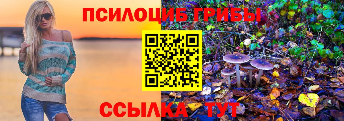 Белая Калитва  Галлюциногенные грибы Psilocybine cubensis  Псилоцибиновые грибы ЛСД  Вход с VPN 
