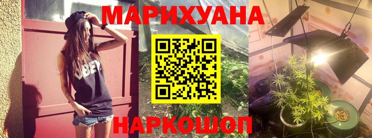 Шишки марихуана White Widow Белая Калитва